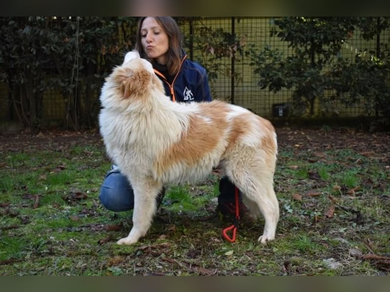 Jury - Powerpaket mit ganz viel Herz im Gepäck