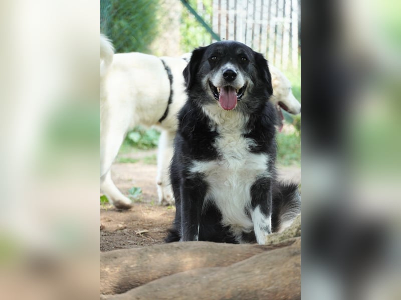 Carmine - Bereit für den Neustart