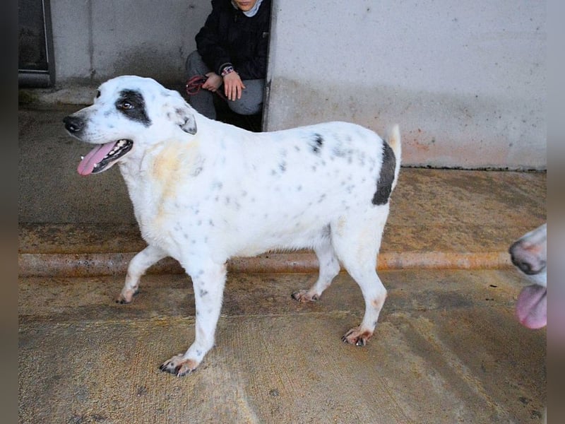 Arunny - Während Sie das hier lesen