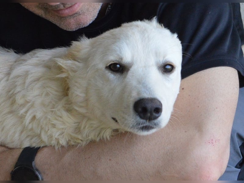 Sadye - Liebevolle Zuwendung....