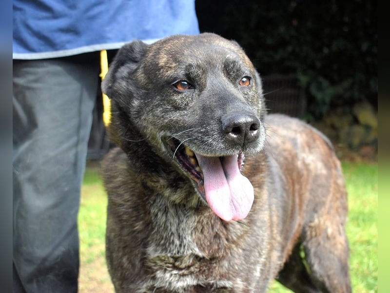 Fareeda - Wo die Schmetterlinge wohnen