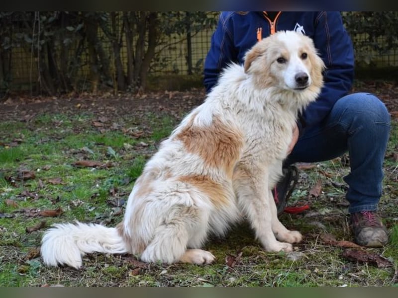Jury - Powerpaket mit ganz viel Herz im Gepäck