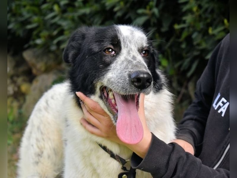 Jasmine - Wer nicht neugierig ist, erfährt nichts!