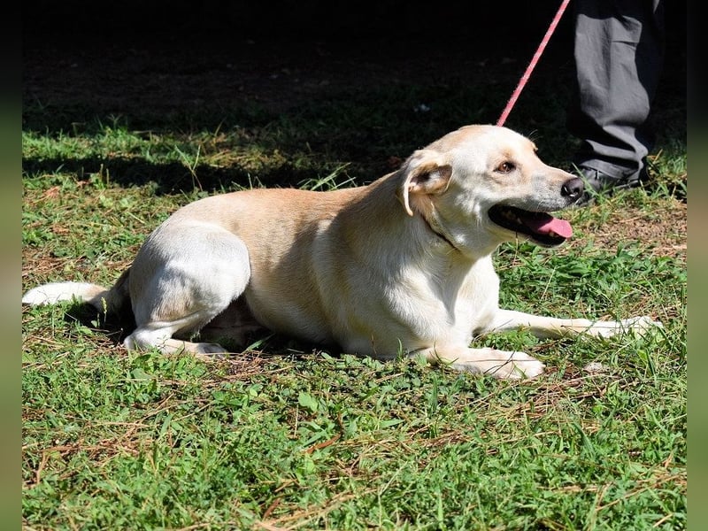 Hughie - macht ein Freundschaftsangebot