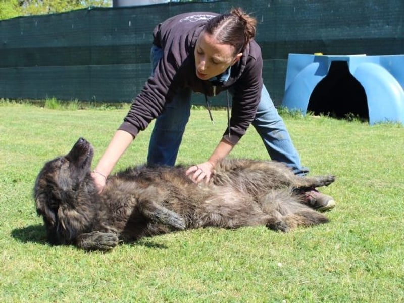 Nayra - unsere Süße