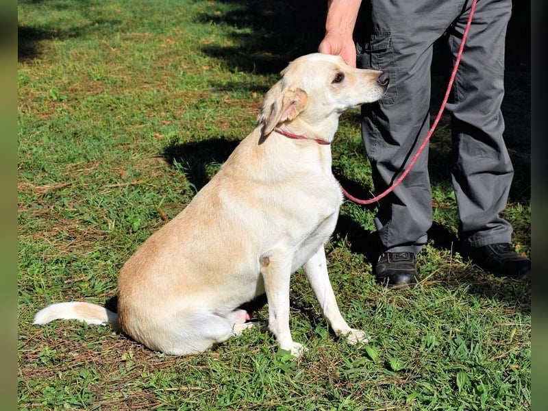 Hughie - macht ein Freundschaftsangebot