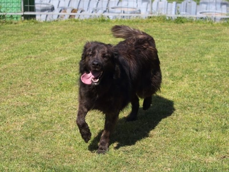 Nayra - unsere Süße