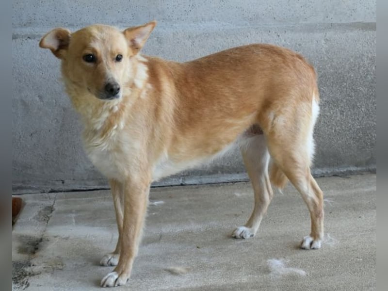 Ariana - lange sitzen sie schon da und haben es schwer