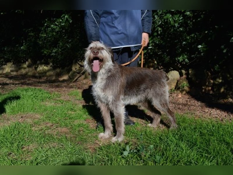 Minnie - Nach 7 Jahren Unglück endlich 7 Jahre Glück?