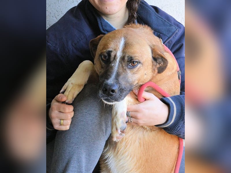 Sunitha - Drei Leben. Drei Chancen.