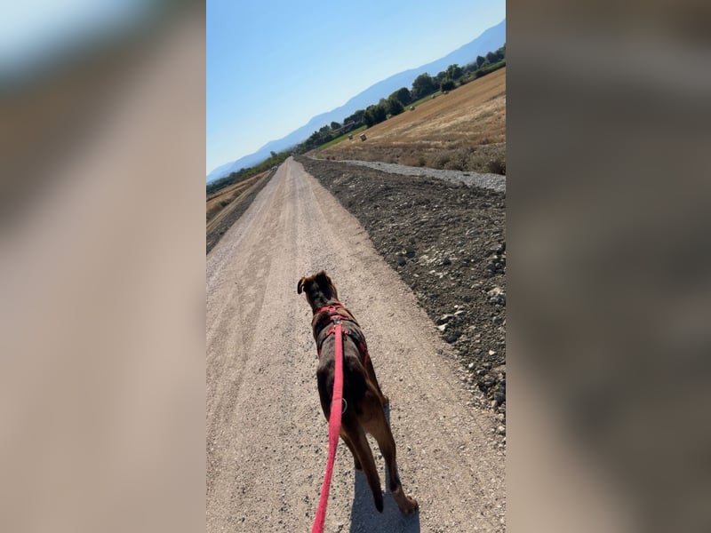 Birdy - Nähe, Liebe, Geborgenheit? das ist sein größter Wunsch