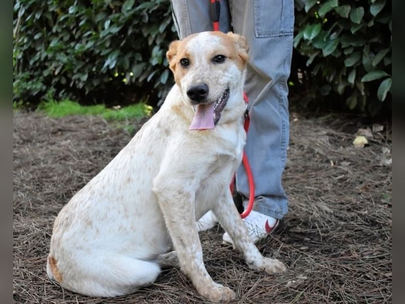 Zoilo - Z wie Zuckersüß und Zauberhaft