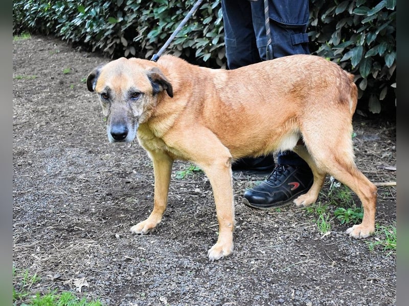 Nidal - Notfall - Was jetzt zählt