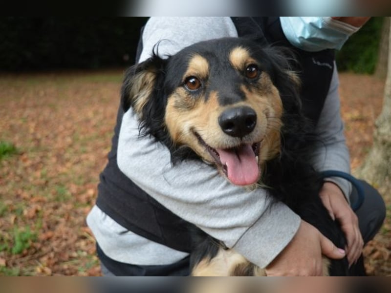 Daxter - wann darf sein Leben beginnen? Daxter - wann darf sein Leben beginnen?