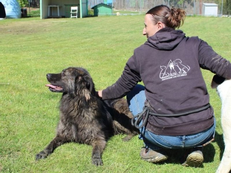 Nayra - unsere Süße