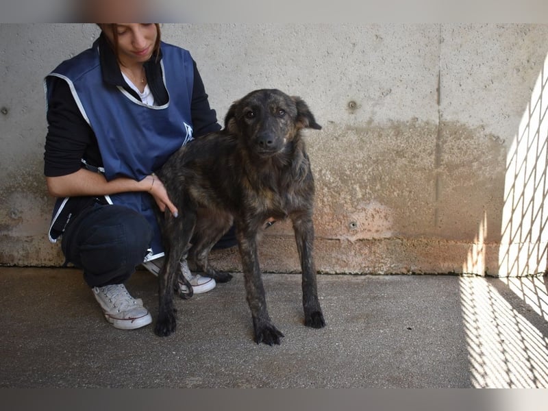 Nivara - Das Märchen von den fünf Schwestern