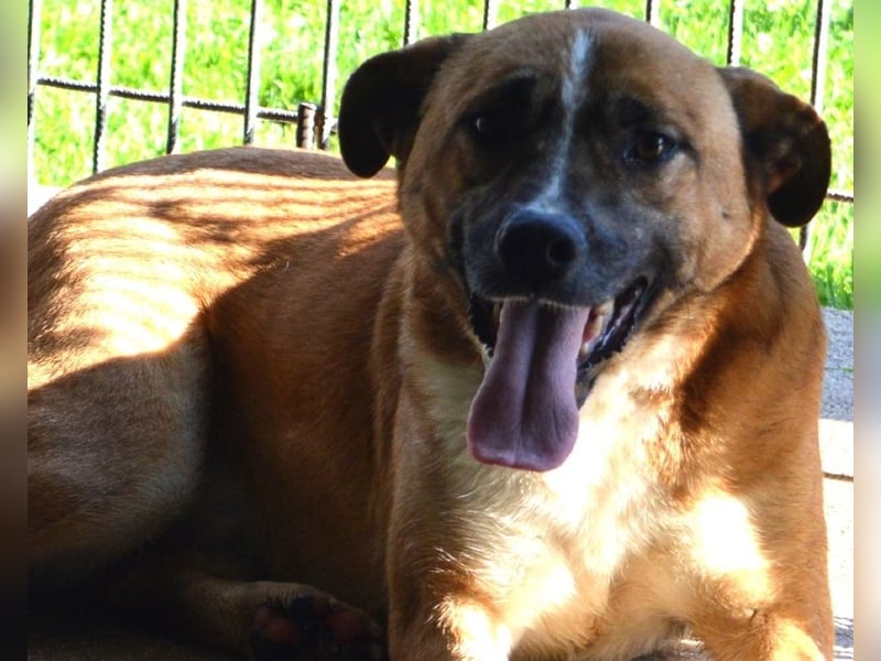 Sunitha - Drei Leben. Drei Chancen.