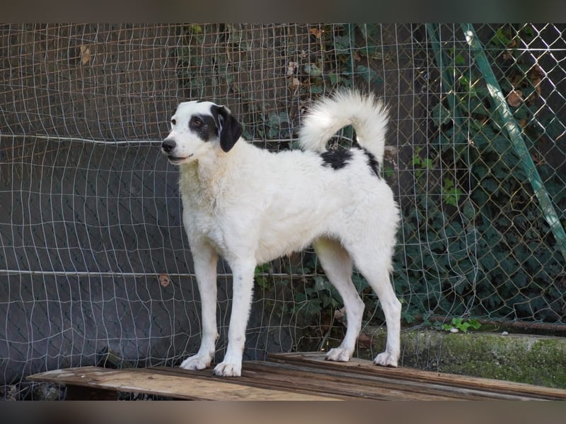 Marni - Dieses Herz hat schon zu lange gewartet