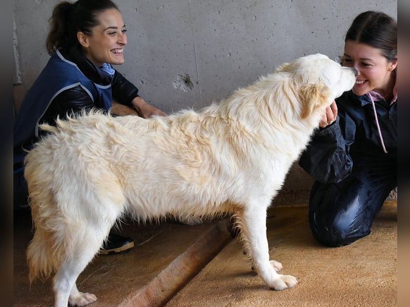 Sadye - Liebevolle Zuwendung....