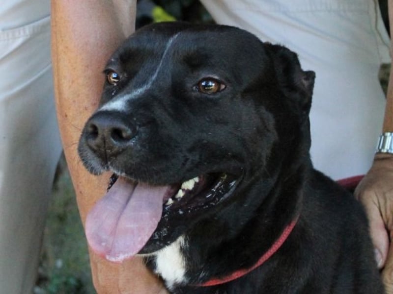 Sienna - Surferin der Herzen