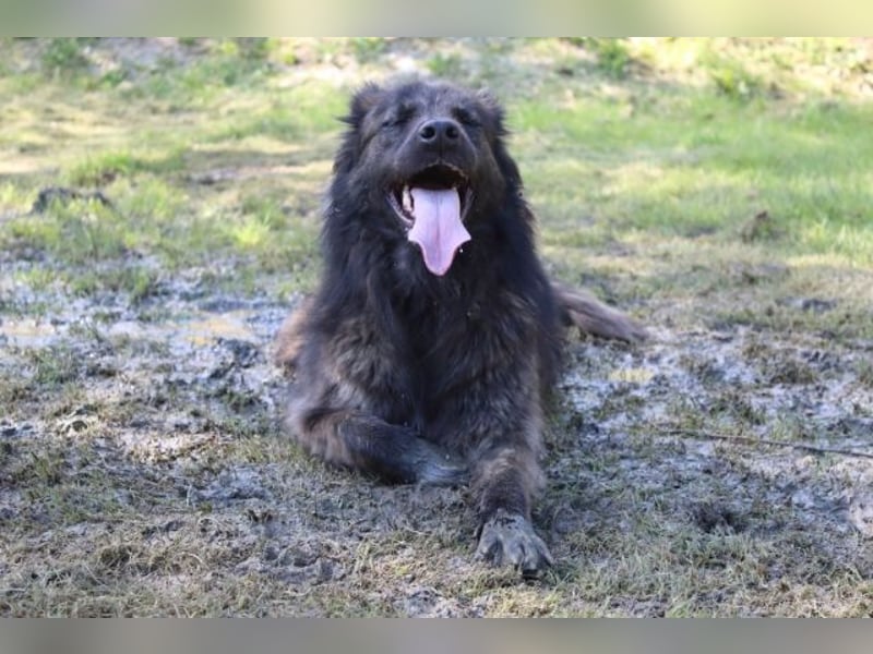 Nayra - unsere Süße