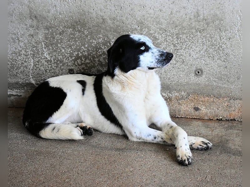 Nyxiel - Die schönsten Augen