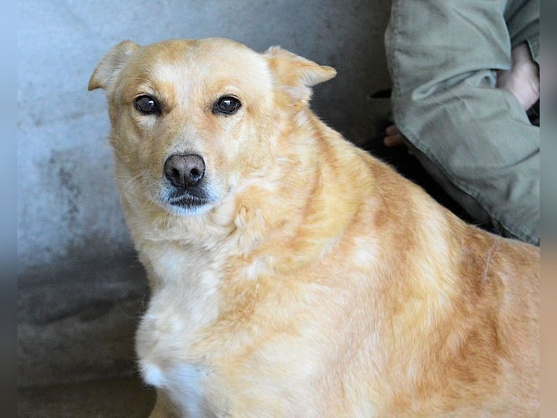 Ariana - lange sitzen sie schon da und haben es schwer