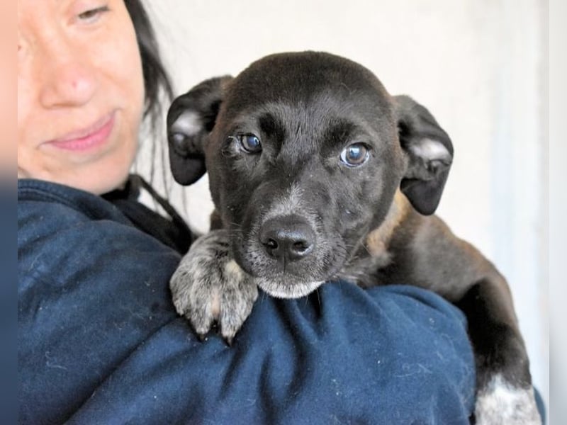 Marisca - Es soll DEIN Leben werden