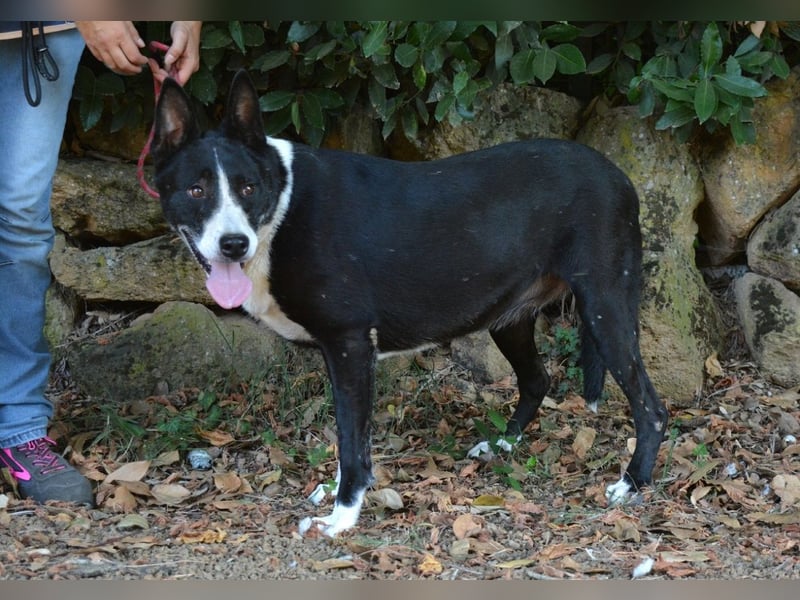 Edelmira - Das Leben in homöopathischen Dosen kennenlernen