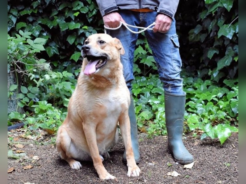 Cesny - Noch ist es nicht zu spät, aber es wird höchste Zeit!