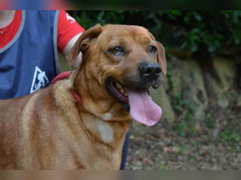 Freebie - Über Stock und Stein