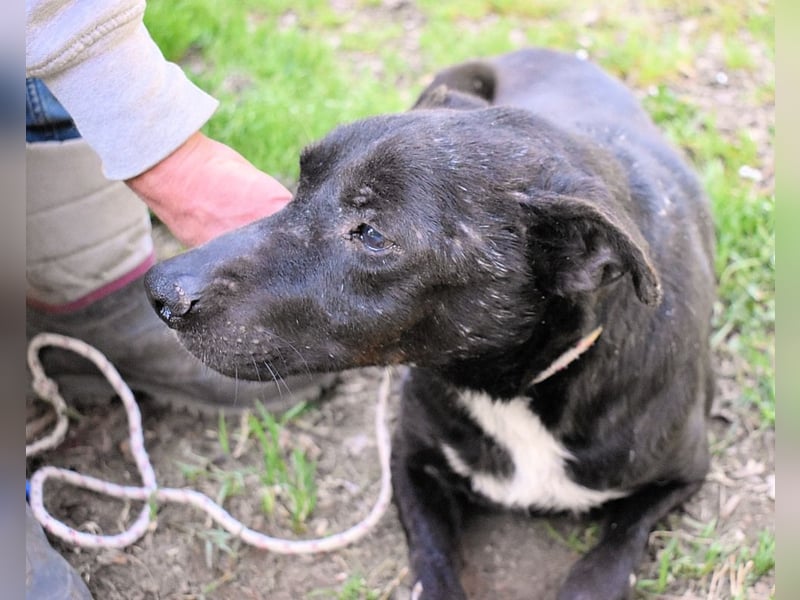 Rhino - NOTFALL !!! - Wenn man nicht auffällt, geht man unter