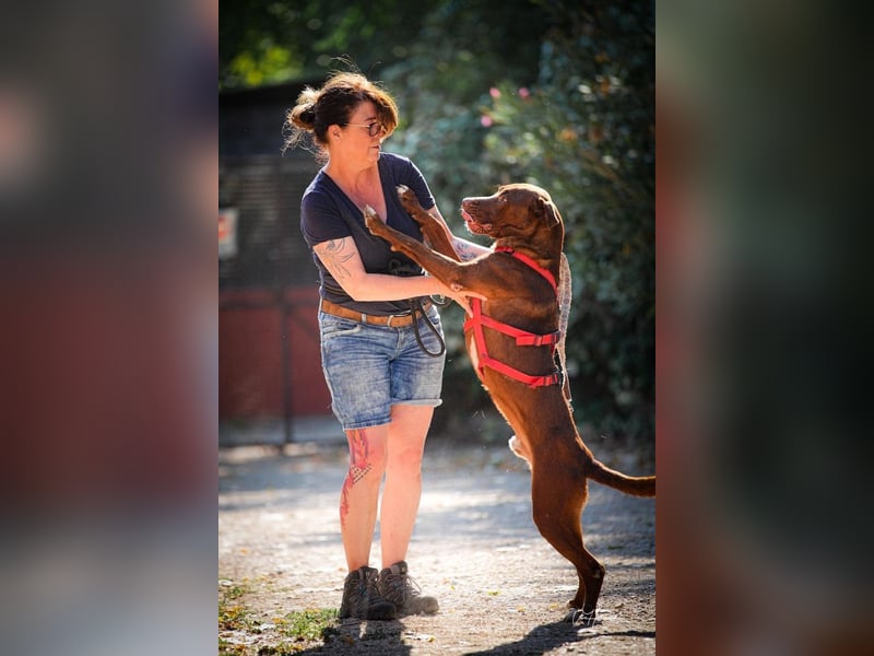 Birdy - Nähe, Liebe, Geborgenheit? das ist sein größter Wunsch