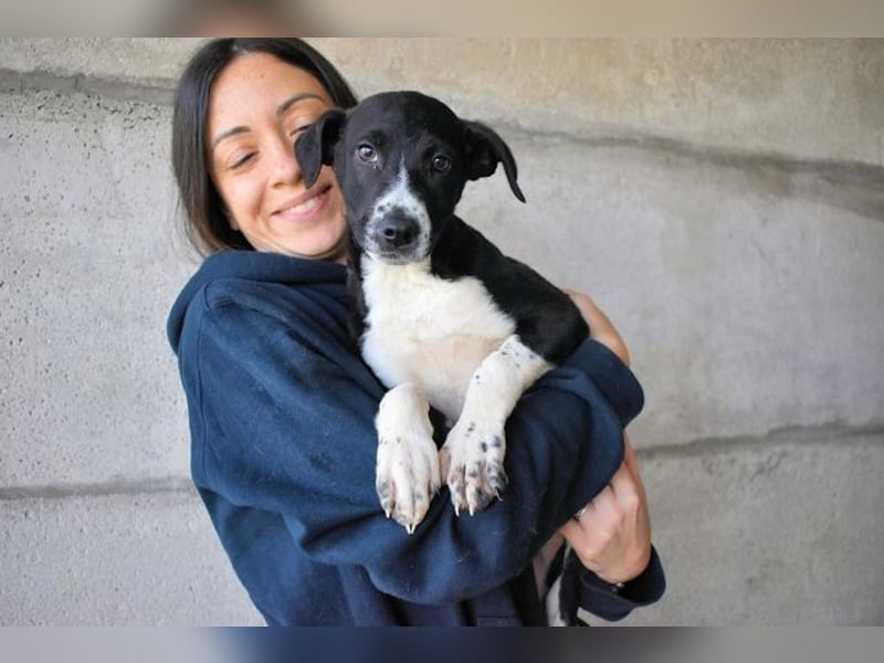 Mavette - Es soll DEIN Leben werden