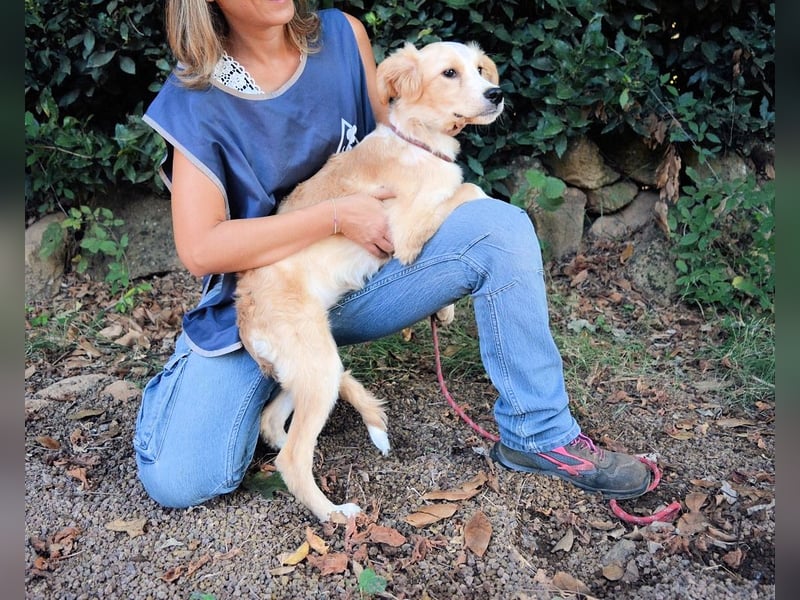 Marula - ...und Mama konnte es dir nicht zeigen