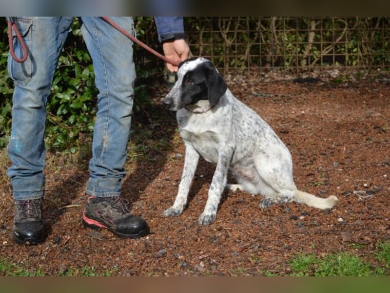 Flicka - möchte noch viel erleben