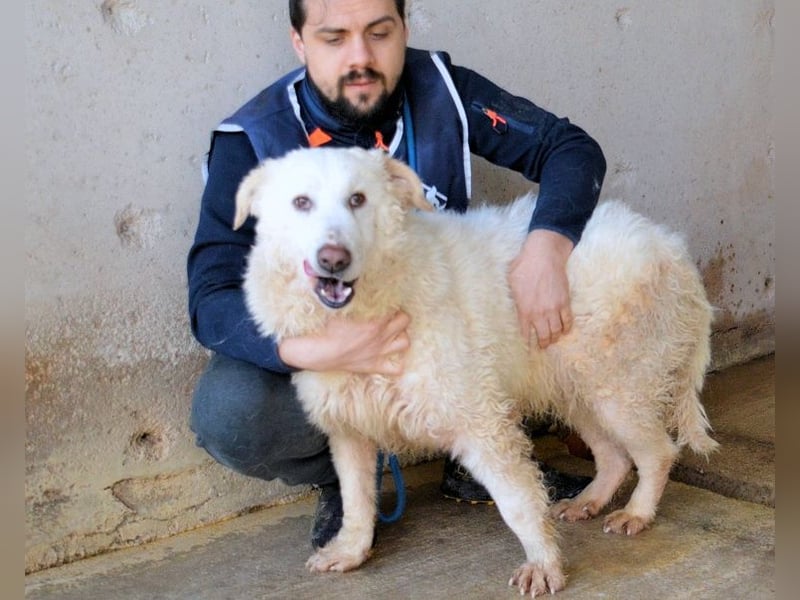 Abreena - Selbstbewusst, verspielt und voller Zuneigung