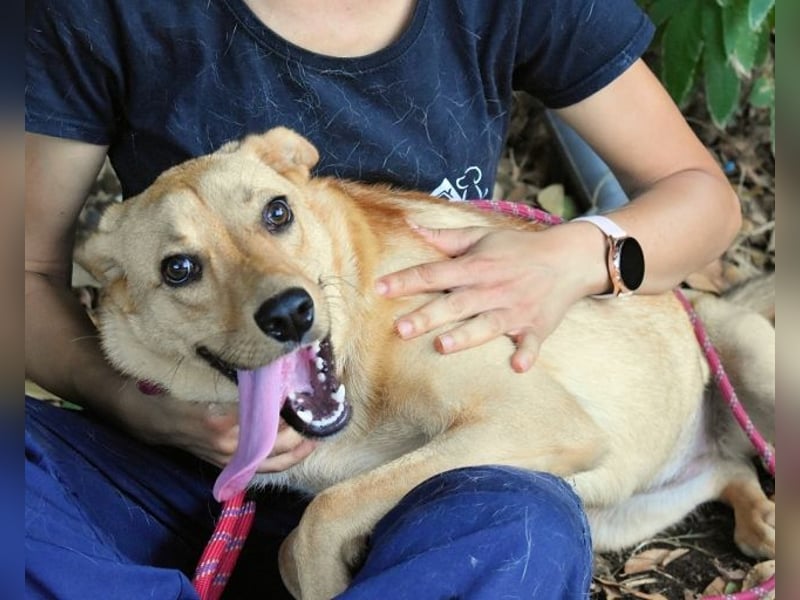 Lilyrose - als kleine Muschel ins Glück!