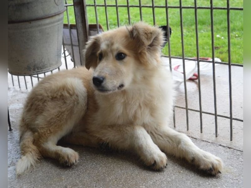 Lauritz - sucht seinen Platz im Leben