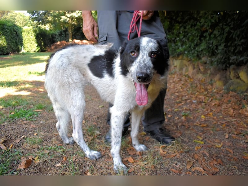 Jasmine - Wer nicht neugierig ist, erfährt nichts!