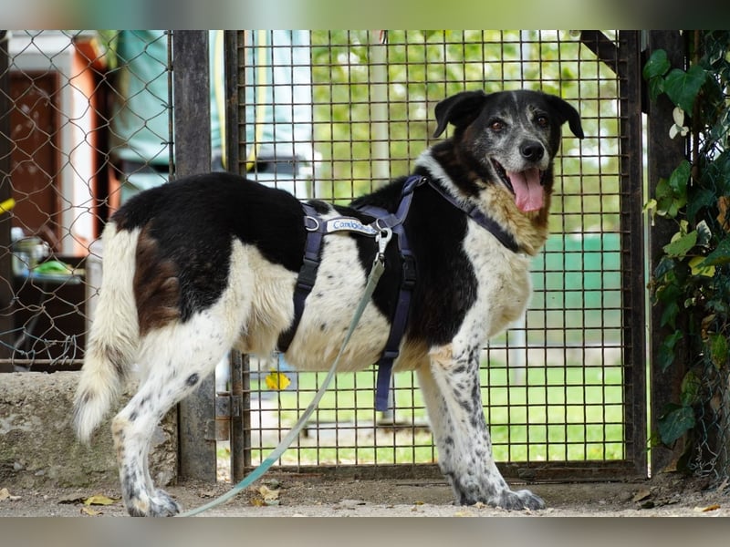 Cambiamento - lasst uns sein Leben verändern