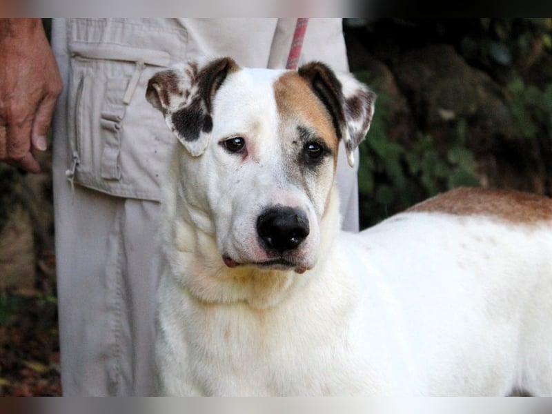 Argo - hungrig auf Leben und Er-Lebnisse