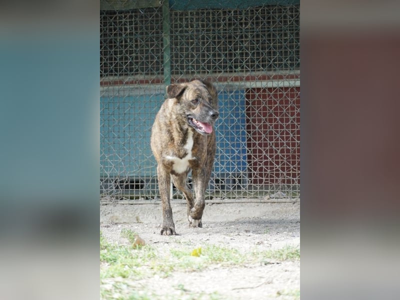 Ludwig - Nur Mädchen erlaubt