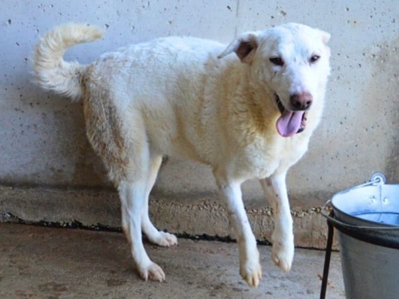 Arriel - aller guten Dinge sind drei