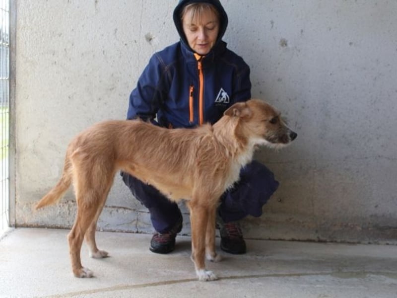 Renilde - eifrige Interviewpartnerin hat Pluspunkte gesammelt