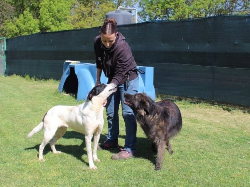 Florentino - Der hübscheste aller Batmans