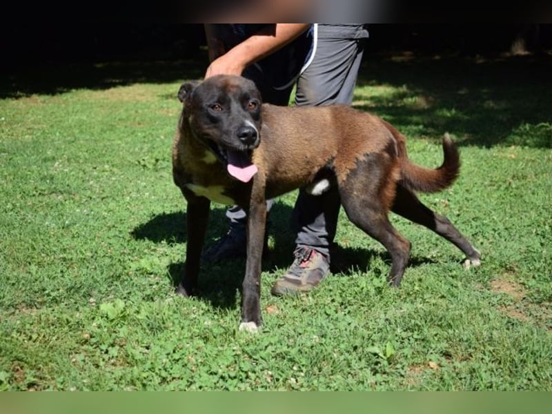 Chufo - ein Energiebündel