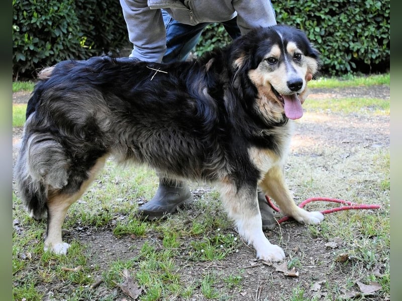 Oliverio - ohne Anklage hinter Gittern