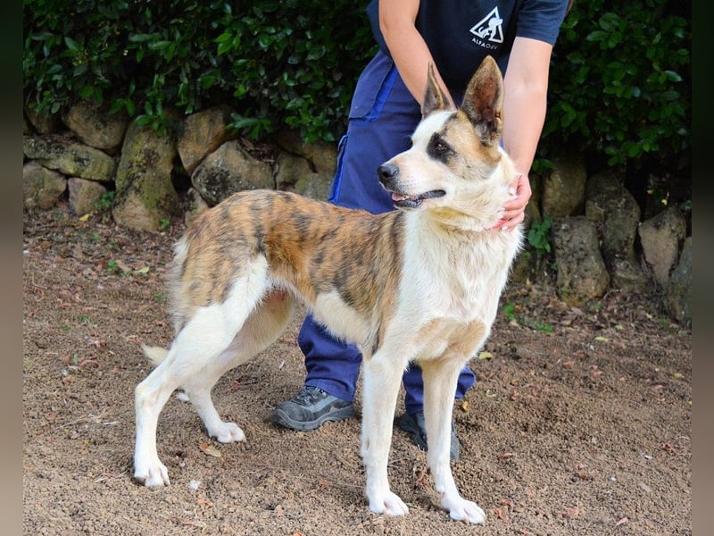 Milde - Ein Flüstern, das sagt: "Du bist sicher."