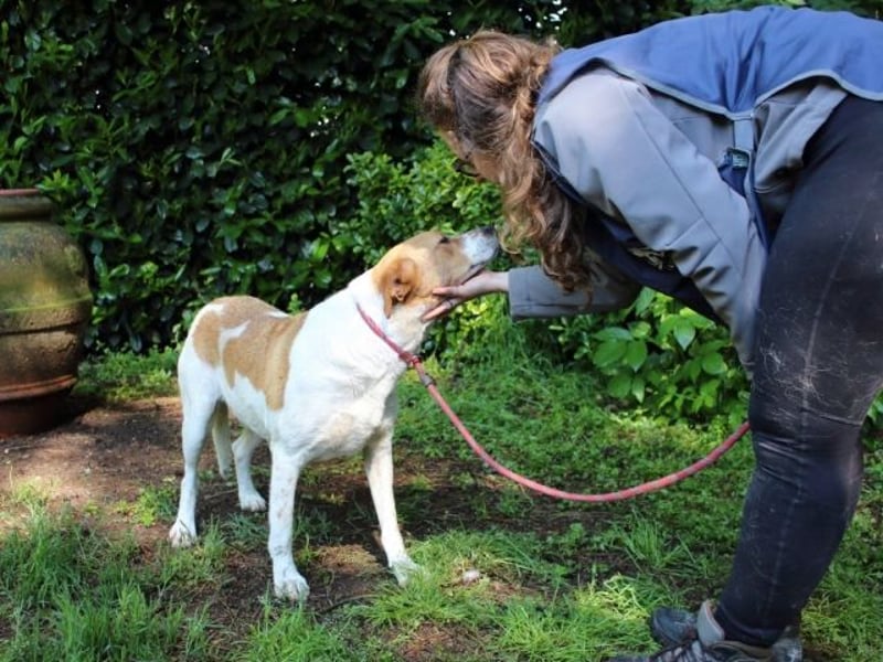 Zela - Z wie Zuckersüß und Zauberhaft